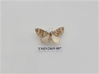 藏品(尺蛾594)的圖片